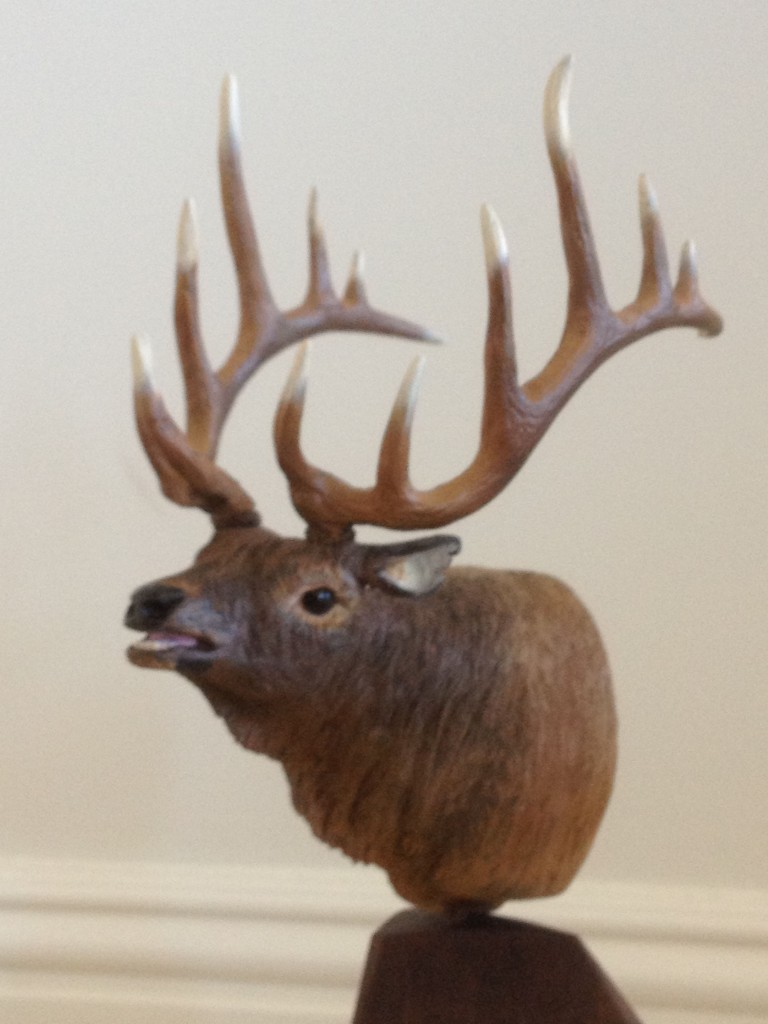 Bull-Elk-Bust