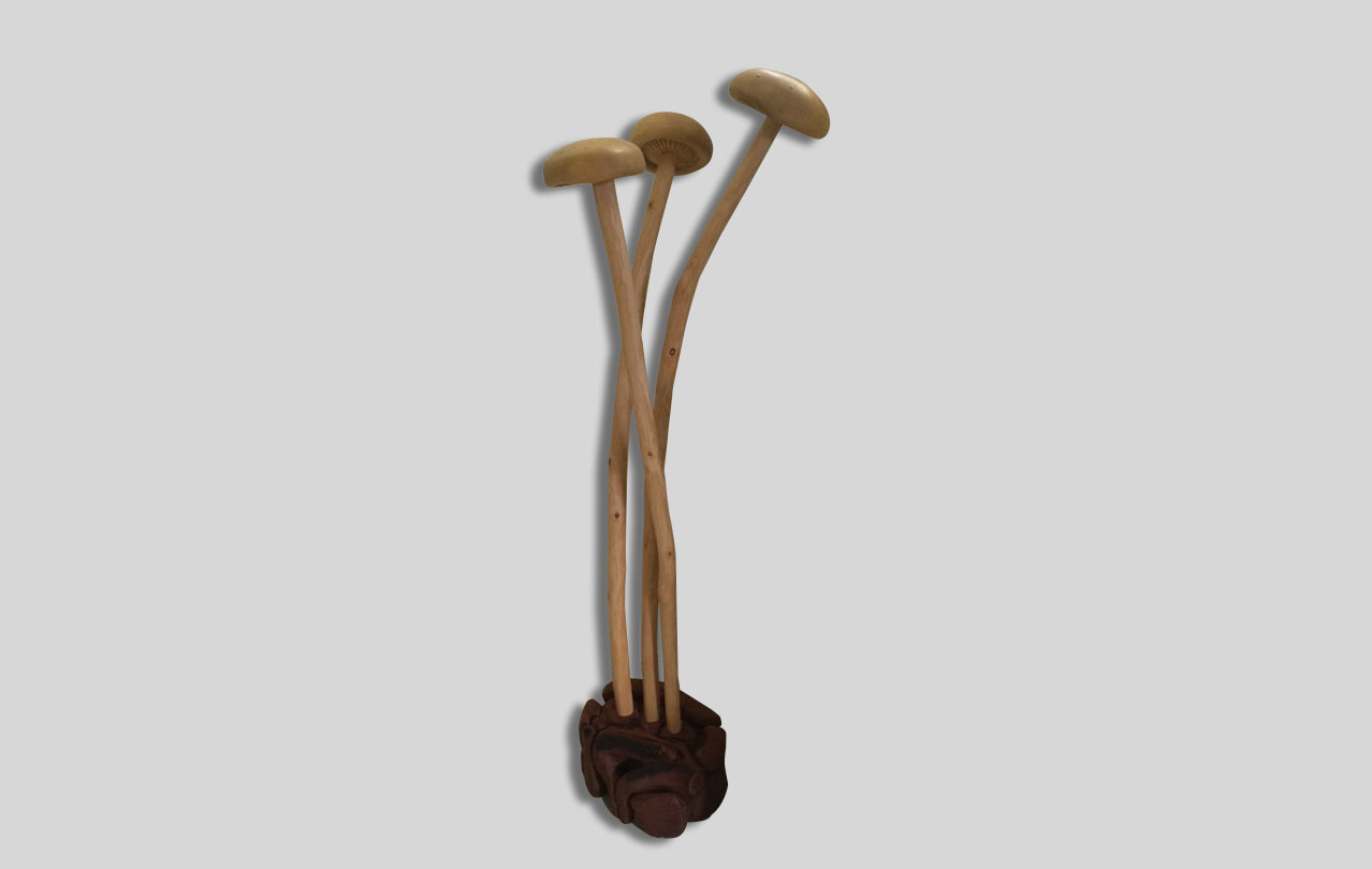 Large Mushrooms