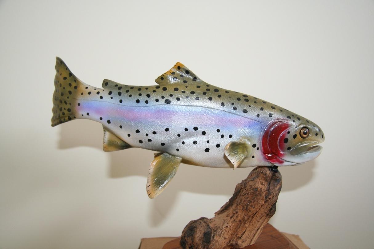 Rainbow Trout