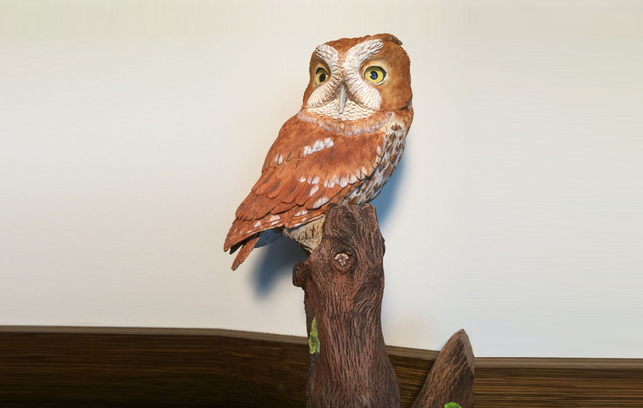 Western Screech Owl