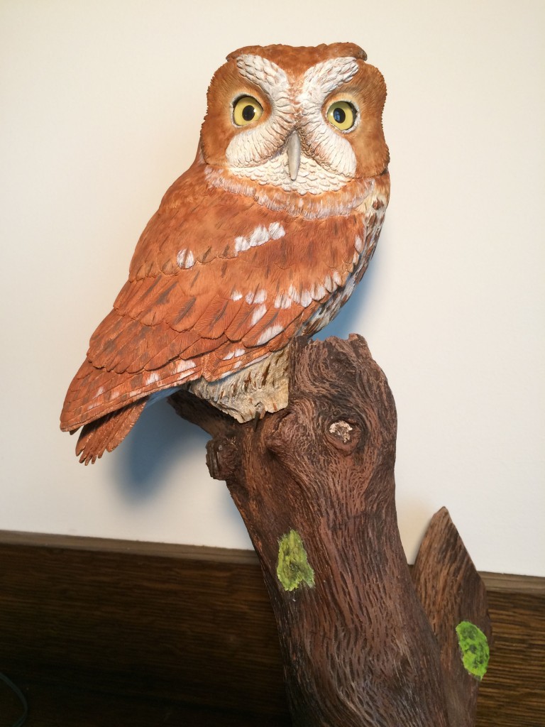 Western-Screech-Owl-2