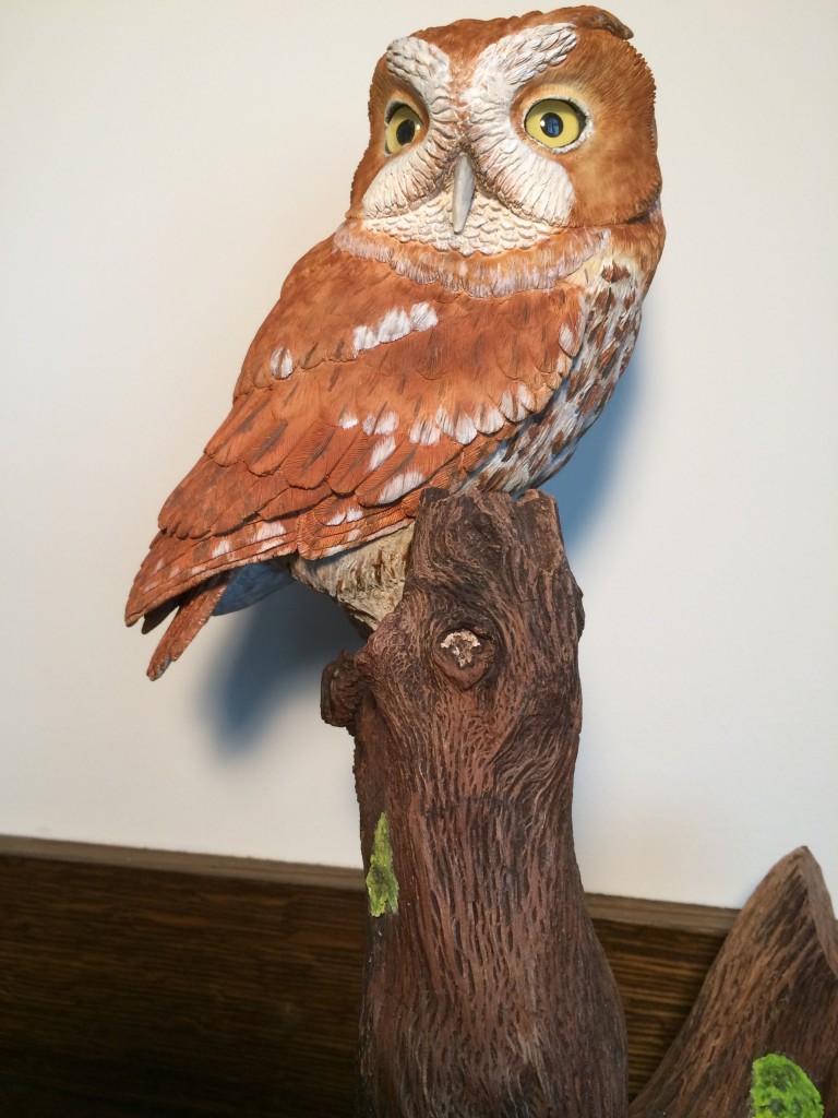Western-Screech-Owl