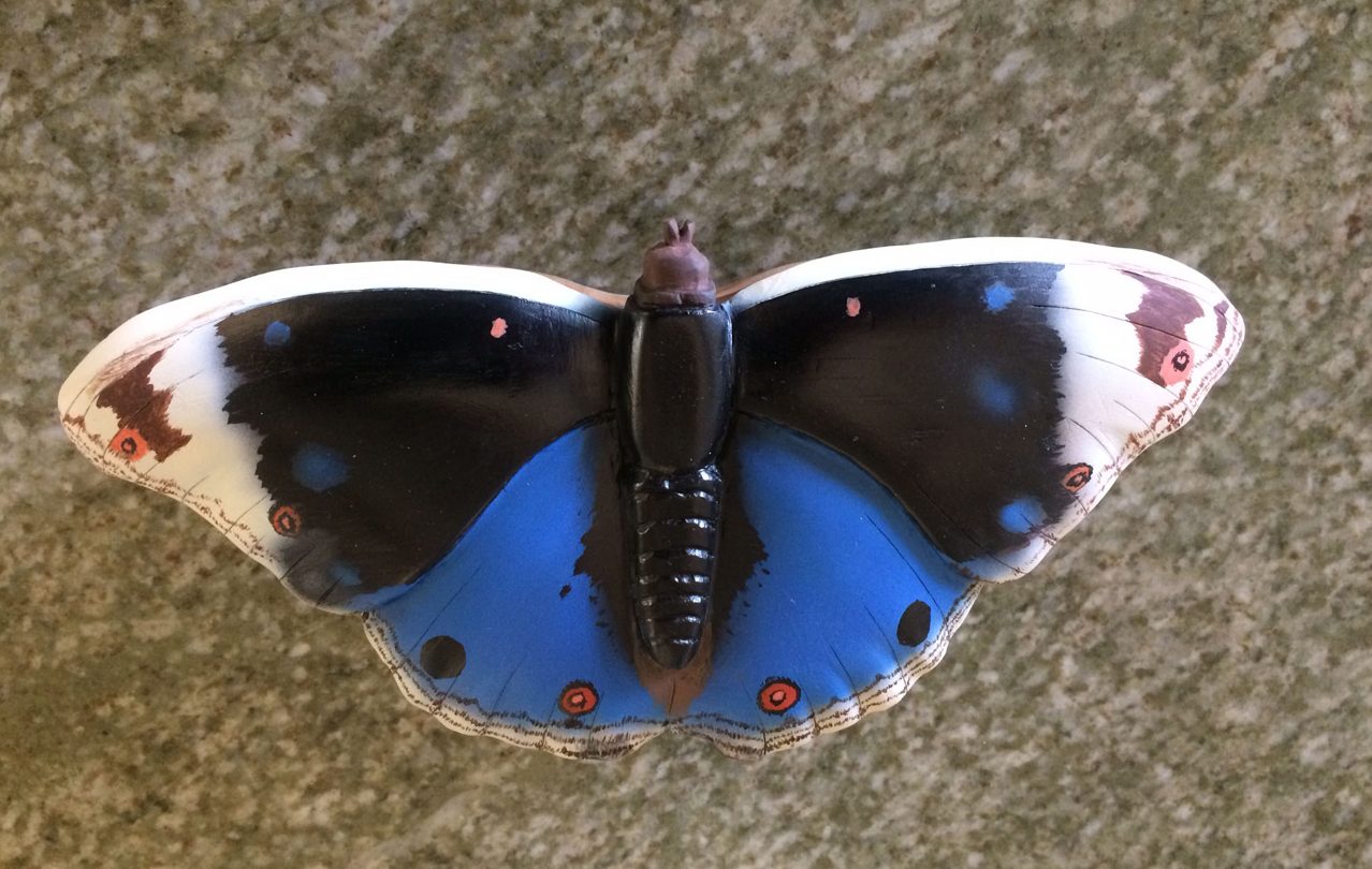 Blue Pansy Butterfly Box