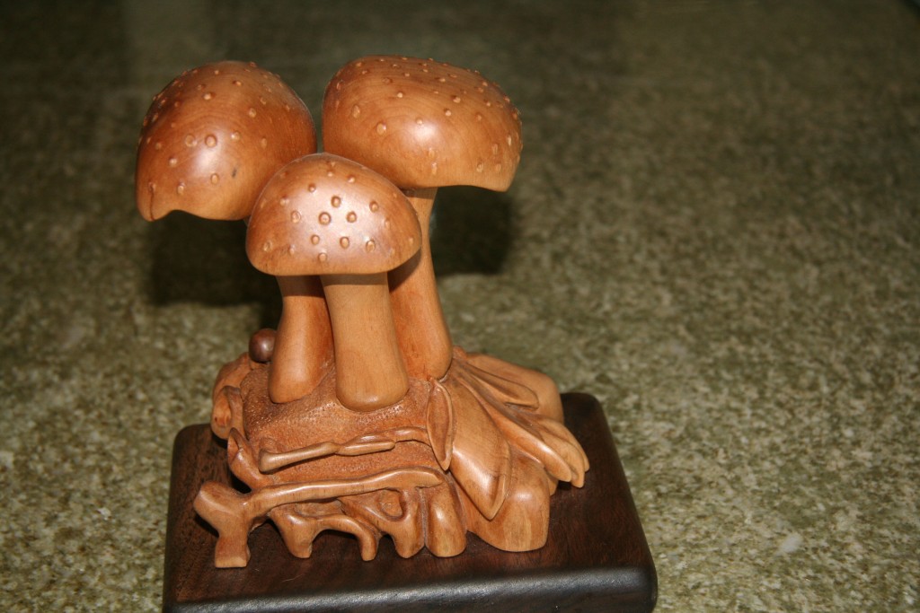 mushrooms-back
