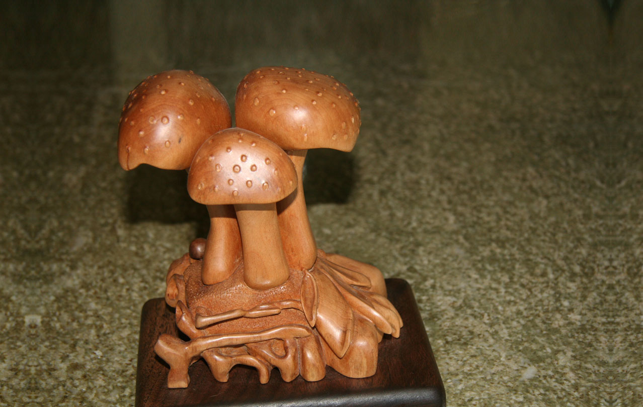 Mushroom