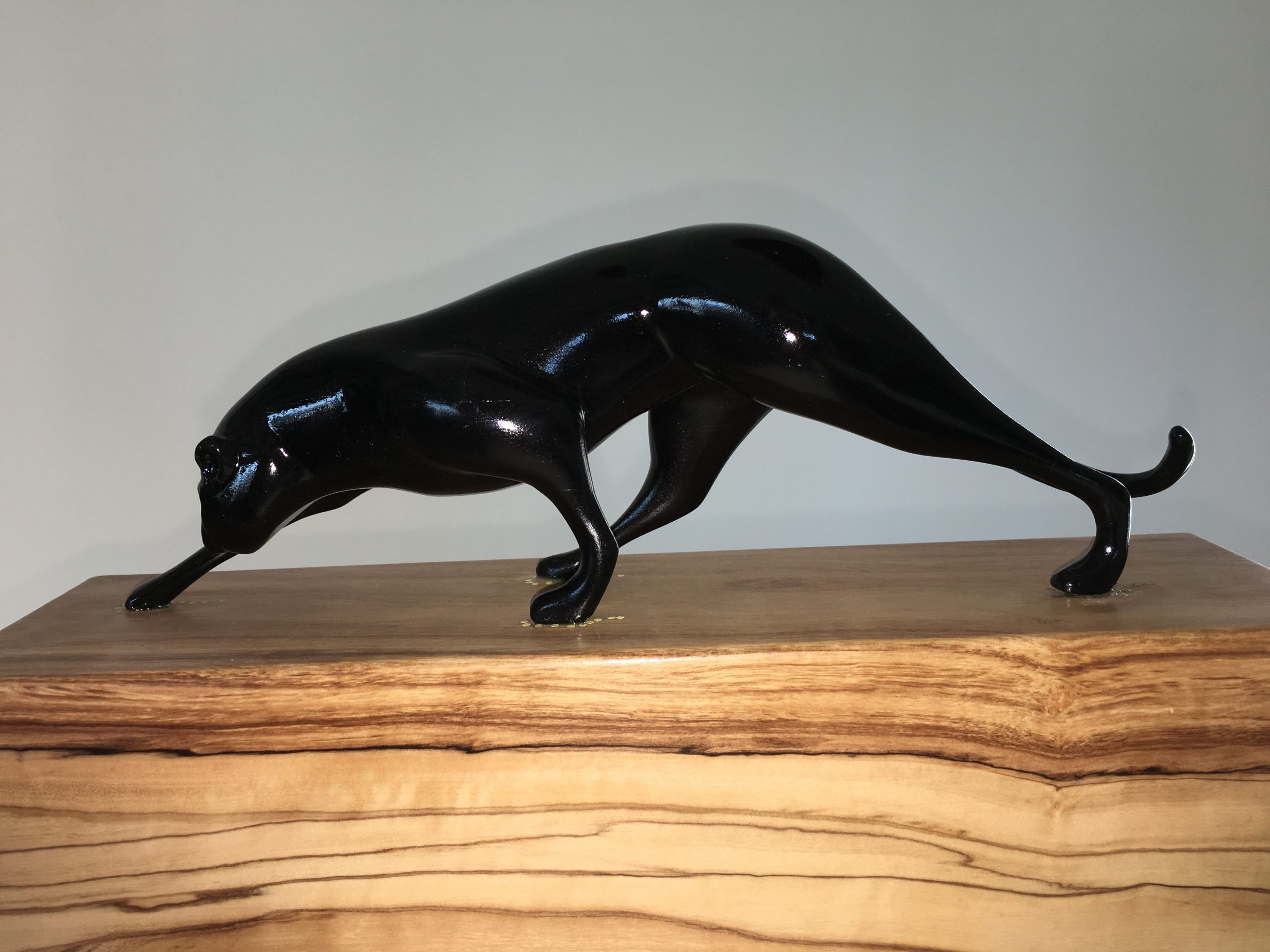 Black Panther Gaboon Ebony