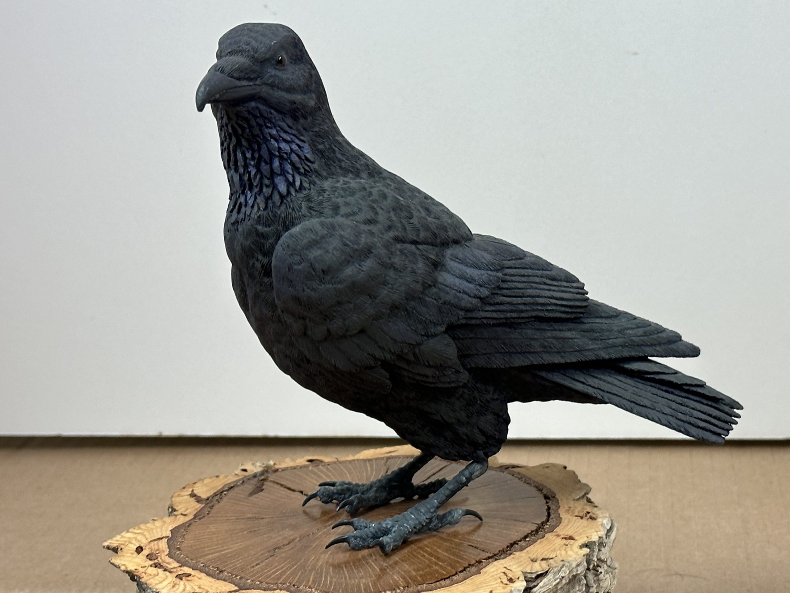 Common Raven