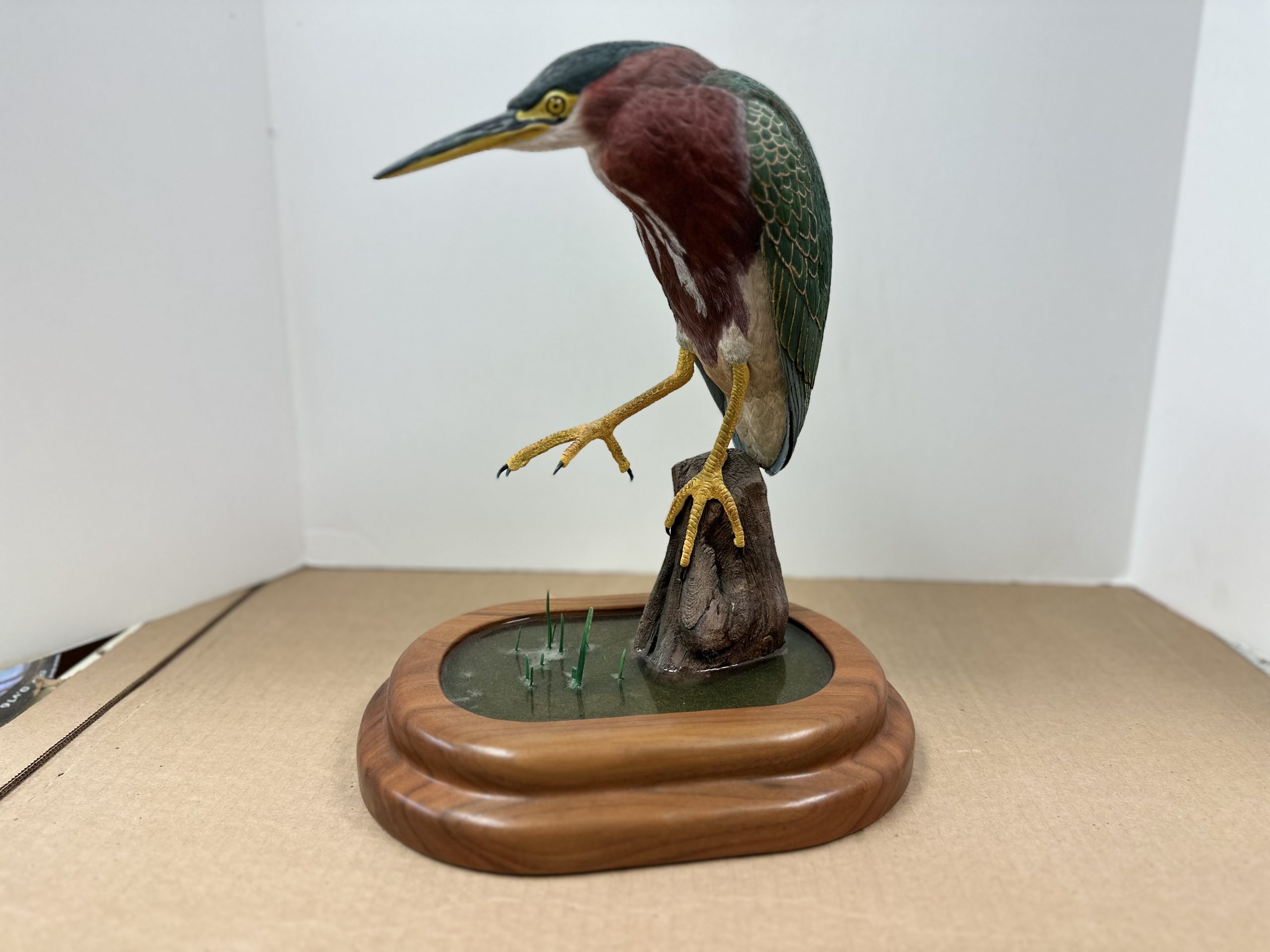 Green Heron