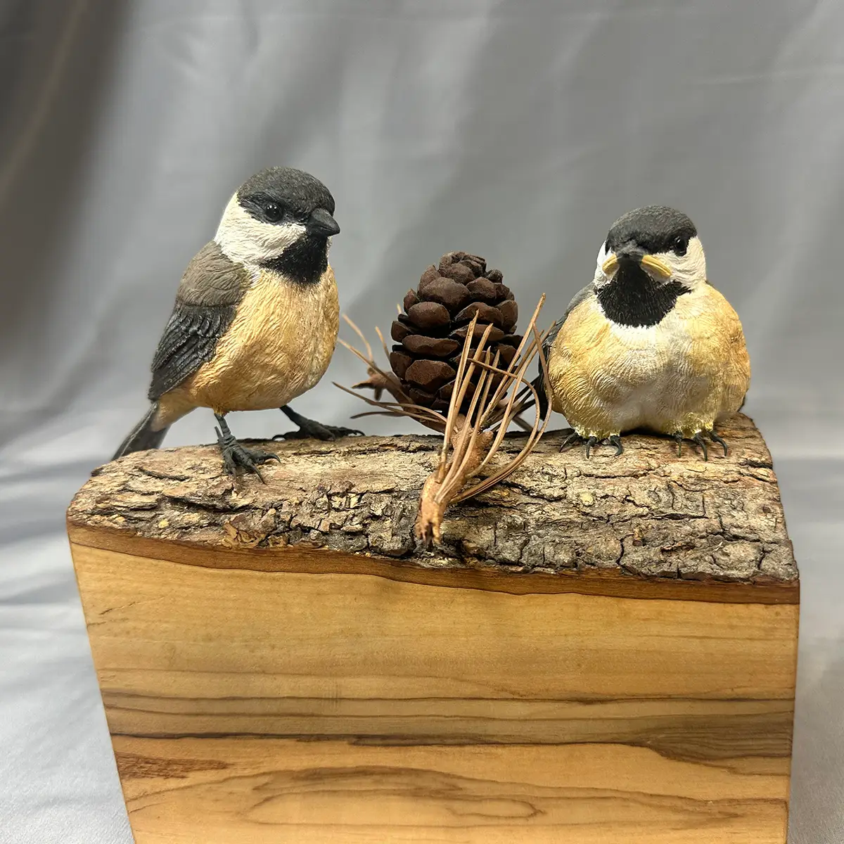 Black-Capped Chickadees, Mother and Chick