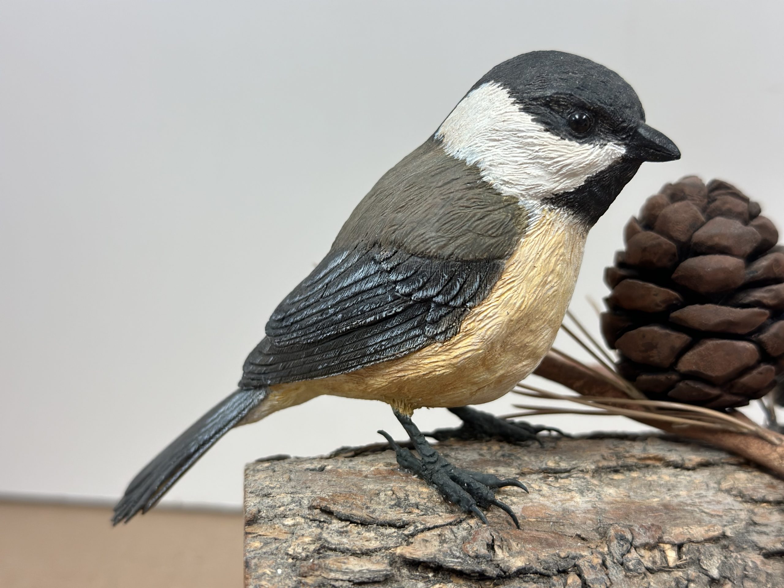 Black-Capped Chickadees, Mother and Chick