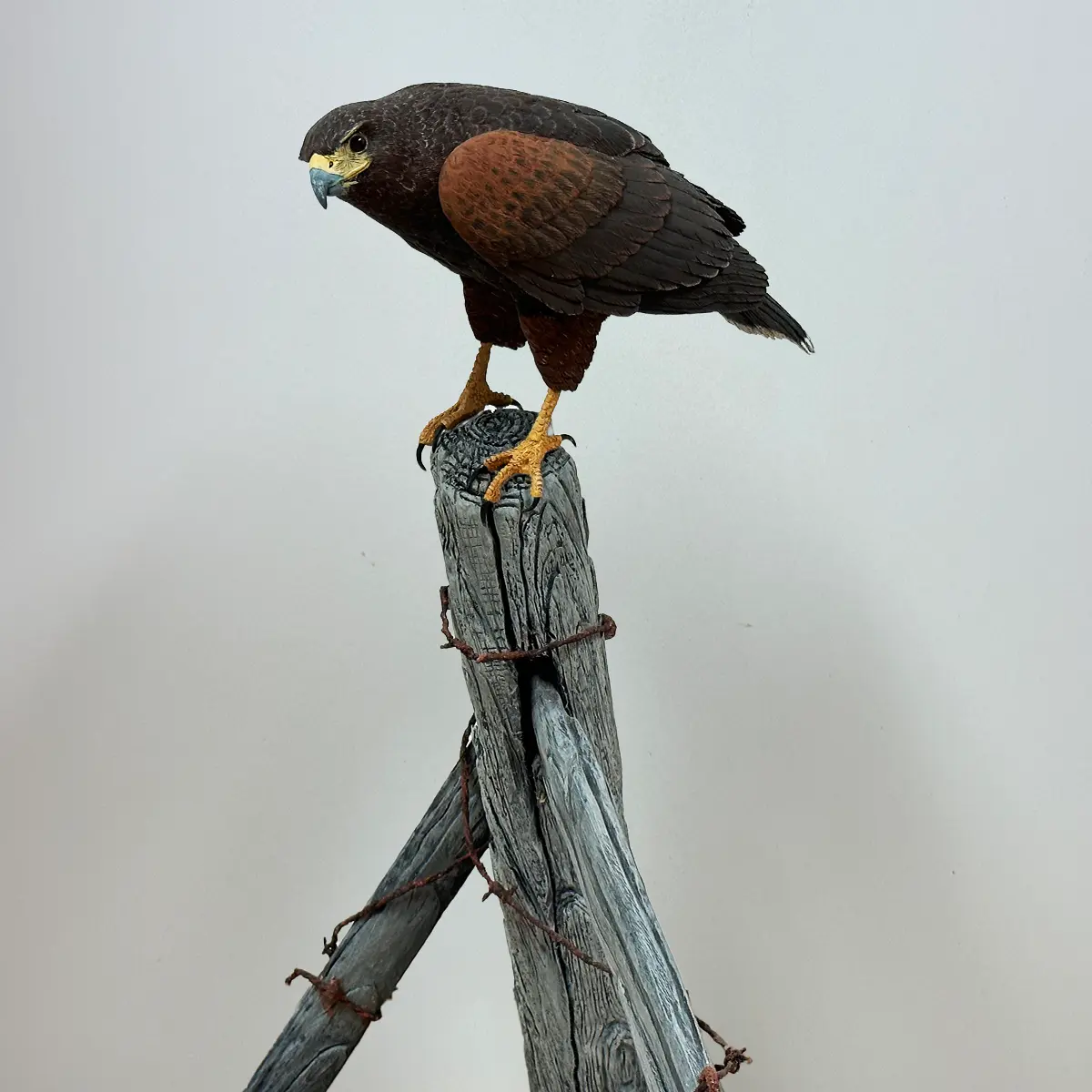 Harris’s Hawk – Miniature Bird Wood Carving – Michael Horwitz