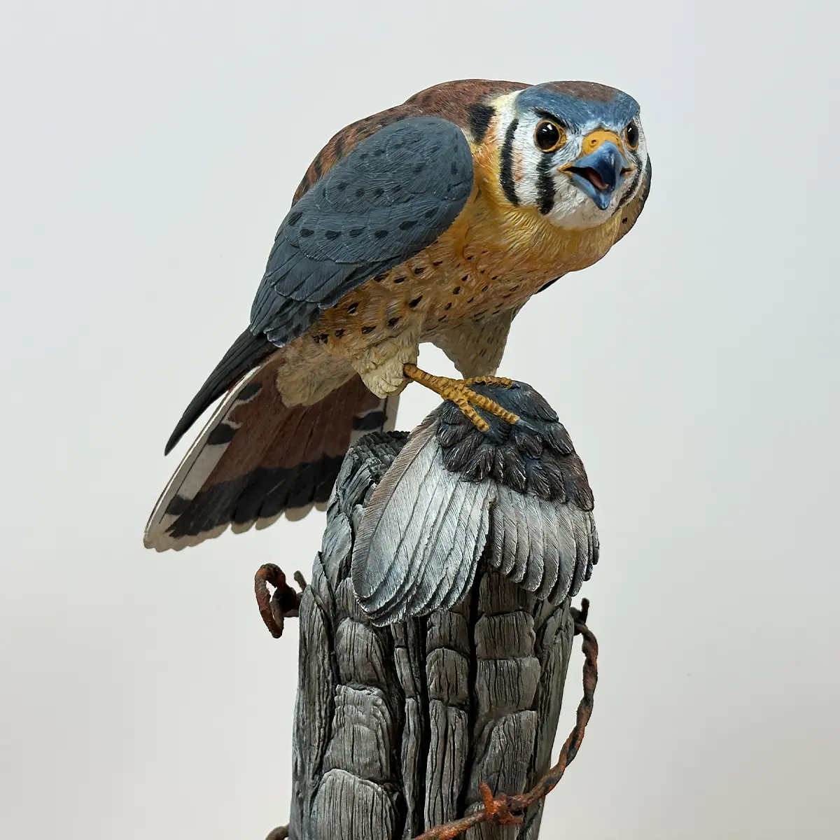 Kestrel with Sparrow Wing – Bird Wood Carving – Michael Horwitz