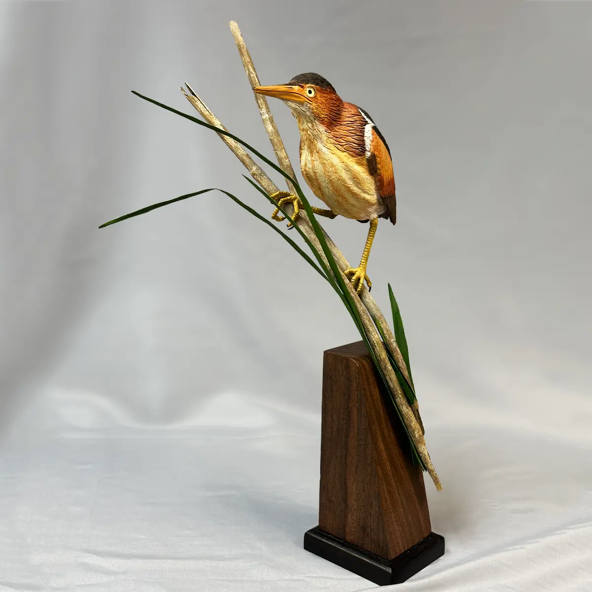 Least Bittern – Bird Wood Carving – Michael Horwitz