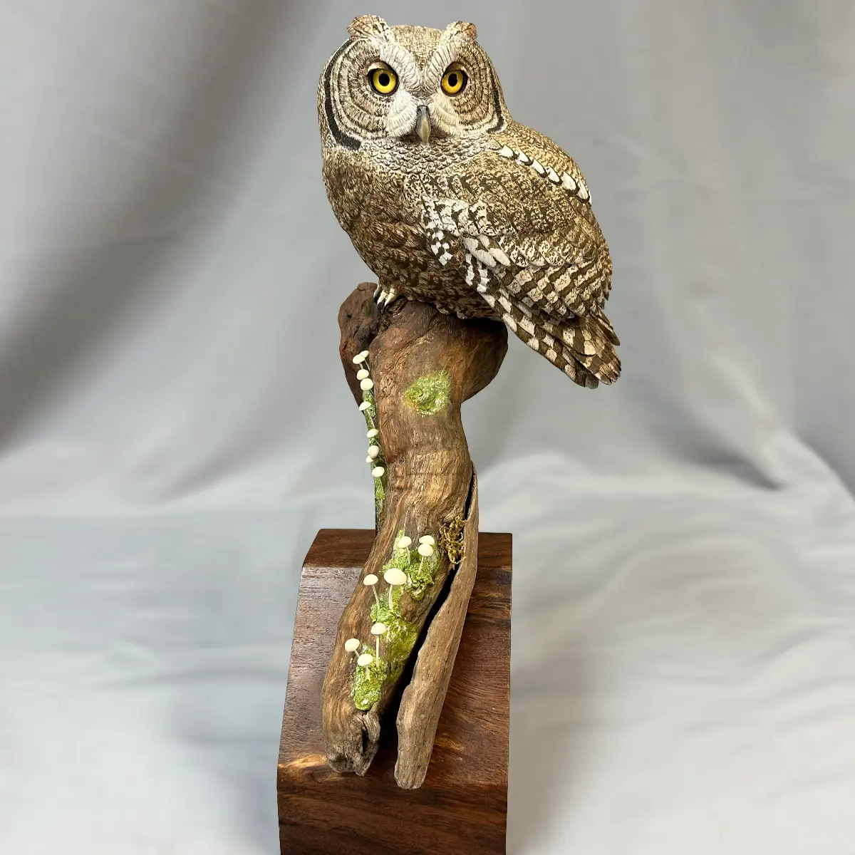 Western Screech Owl – Bird Wood Carving – Michael Horwitz