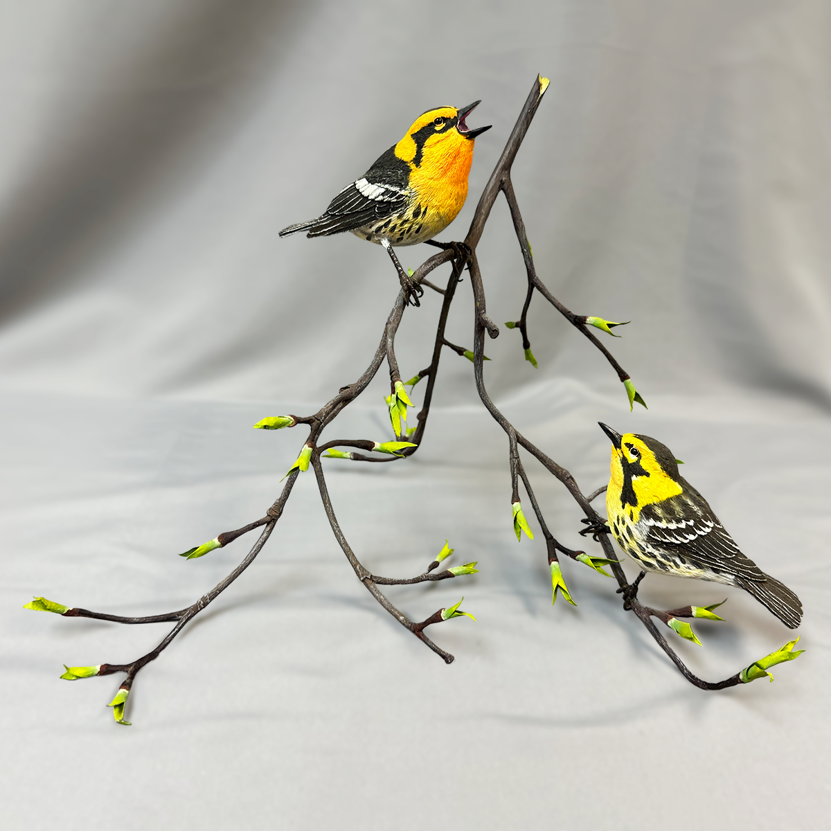 Blackburian Warblers (Male & Female) – Bird Wood Carving – Michael Horwitz